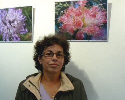 EMARP - Exposição de Ana Maria Varela - abr 2012 - 01